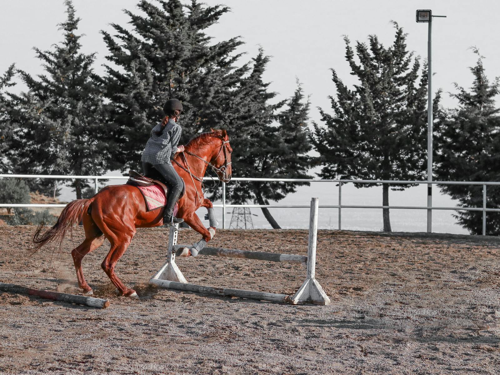 Setting Up Your Backyard Jump Course